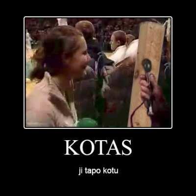 normalu yra būti draugu ir normalu yra būti debilu <2