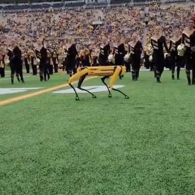 Everybody calls me...GIORGIO