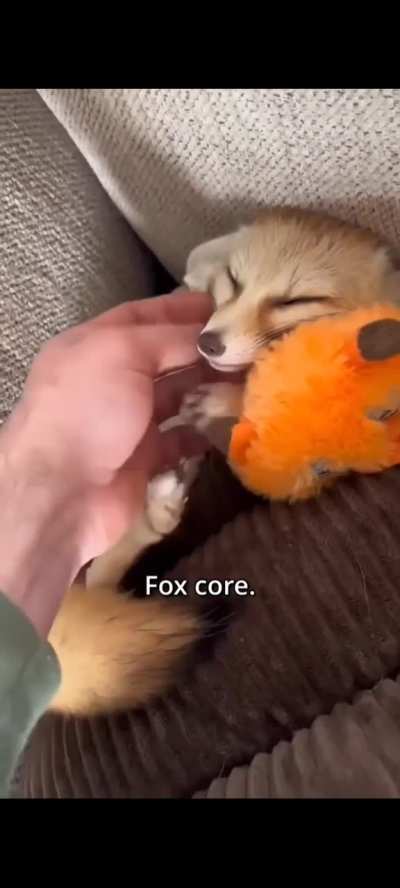 Fox Friday going :3 !