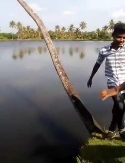 WCGR trying to show off