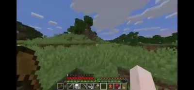 That's the Enderman right?