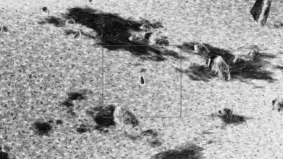 I spent 3 days making this dumb shitpost