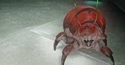 Gordon when he encounters the snark