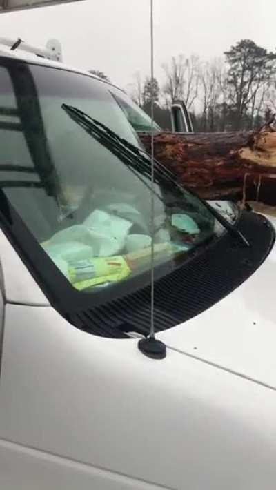 Truck loses tree trunk