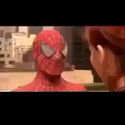 friendly neighborhood spiderman