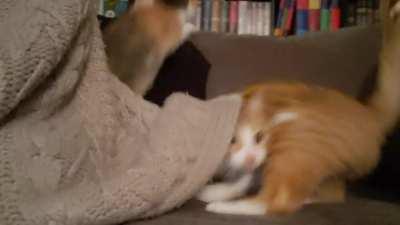 What’s wrong with thi- oh