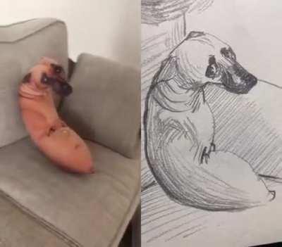 Wordington dog pillow