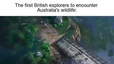 from the escape trailer