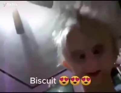 Biscuit