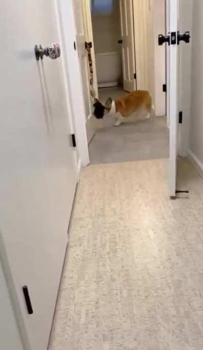 such a helpful, and good girl