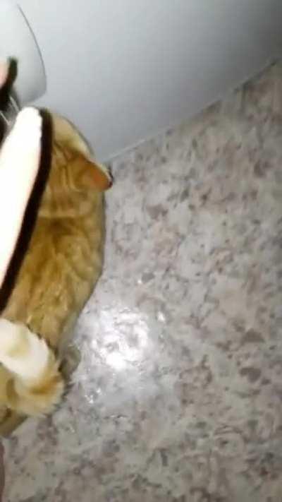 Музыкальная пауза