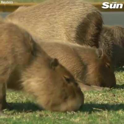 Ultra rich =/= Buenos Aires