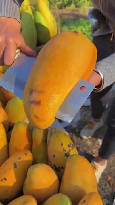 The Mahachanok (mango) from Thailand can grow up to 340 grams