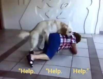 Friendly doggo is excited to see grandma.