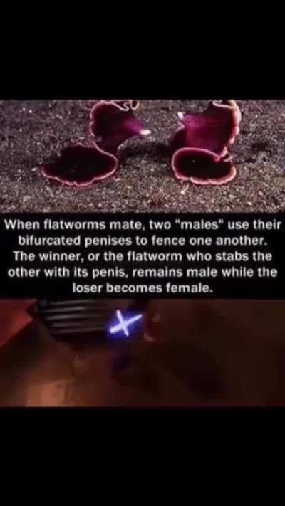 By this logic Vader is a female