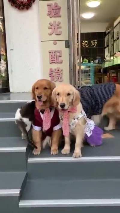 You're in this family photo whether you like it or not!