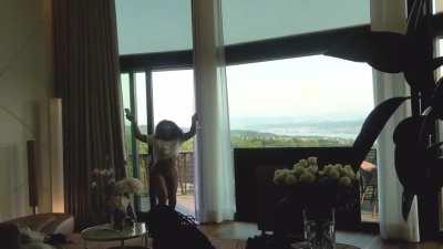 C@nt go wr0ng with Sz@