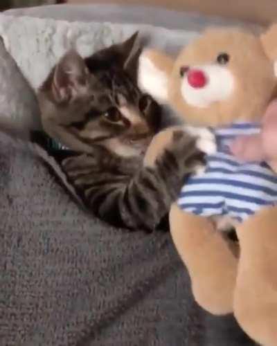 She loves to be tucked in bed with her favorite toy.