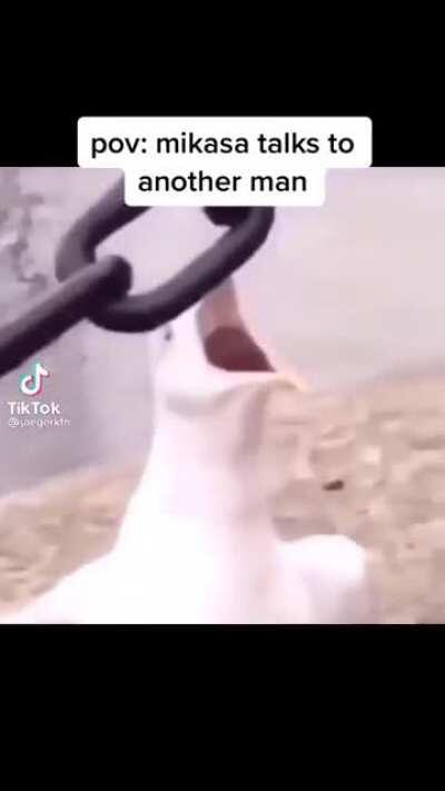 Spain without the s 😔