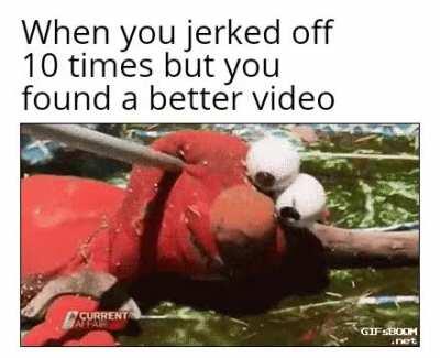 Ah shit here we go again