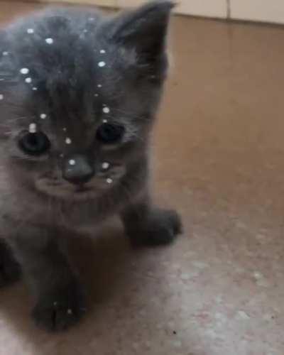 The look on his face