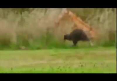 i look and act like this