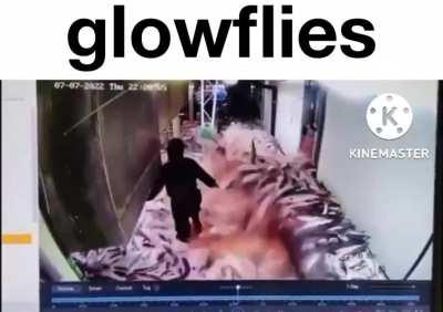 splatoon 3 salmon run is fun