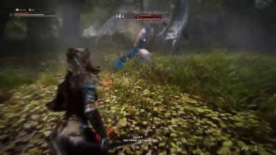 Odd looking Skyrim boss fight