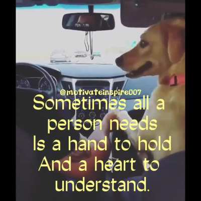 Sometimes all a person needs Is a hand to hold And a heart to understand.