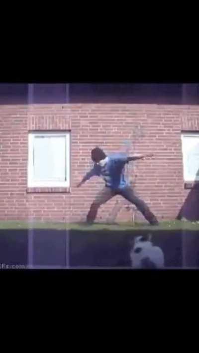 My cat people need me