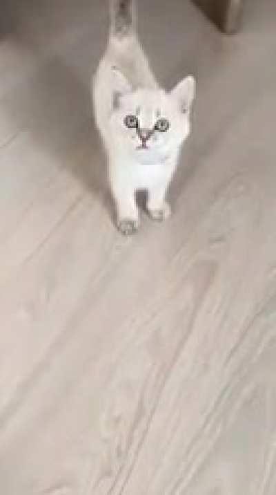 aaaaa... A҉҉̦̣̤͔̟̩̋̿̏ͦ̈́̍͟͠A҉҉̦̣̤͔̟̩̋̿̏ͦ̈́̍͟͠A҉҉̦̣̤͔̟̩̋̿̏ͦ̈́̍͟͠A҉҉̦̣̤͔̟̩̋̿̏ͦ̈́̍͟͠A҉҉̦̣̤͔̟̩̋̿̏ͦ̈́̍͟͠A҉҉̦̣̤͔̟̩̋̿̏ͦ̈́̍͟͠ -