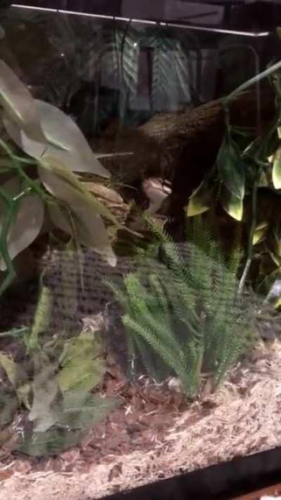 When you see mom heating up dinner