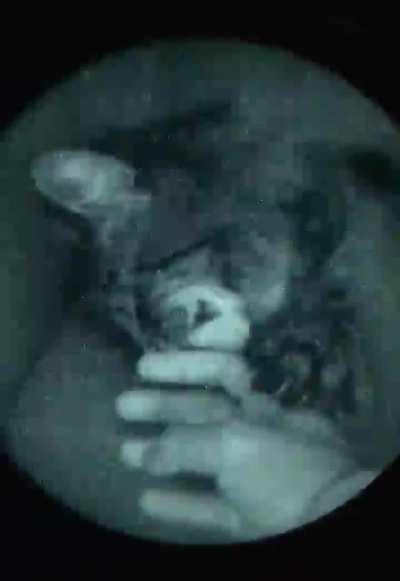 Oh, how the turns have tabled 