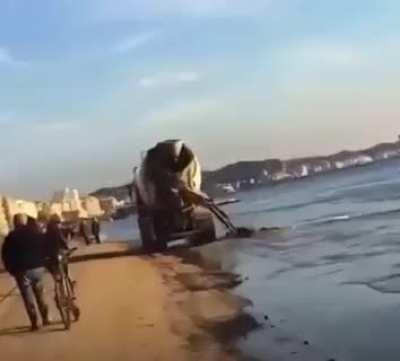 Albania is atlantide confirmed 🇦🇱 making pavement for crabs 💪🏻🇦🇱🐐