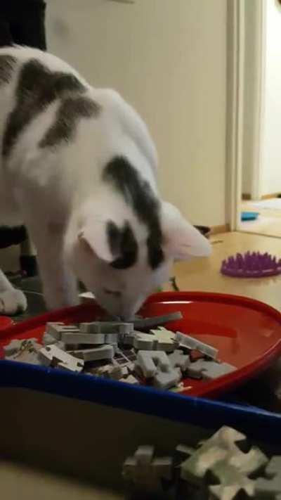 Hmm... Yes, this one is perfect