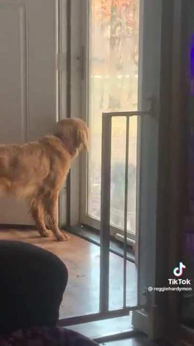 Seriously dude, I got you…just give me one more try