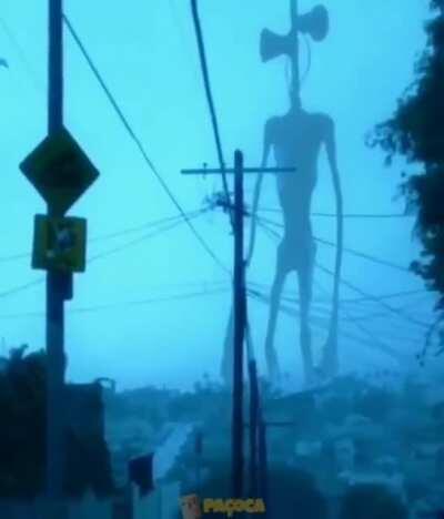 Imagens reais do cabecinha de sirene