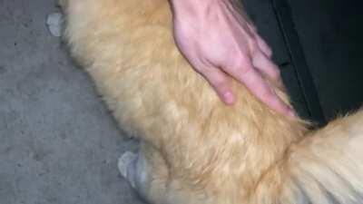 Little trill greetings from Todd :)