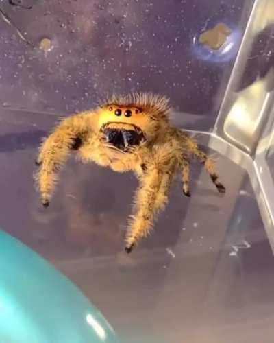 Oh, didn’t see you there!