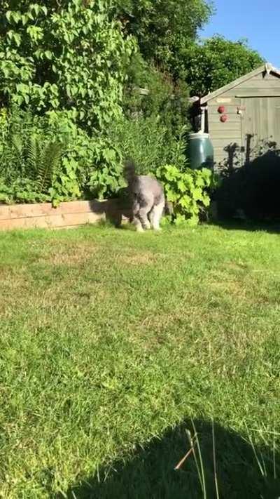 What was that, Magnus?