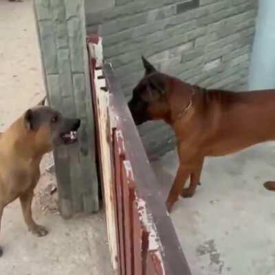 Na internet vs pessoalmente