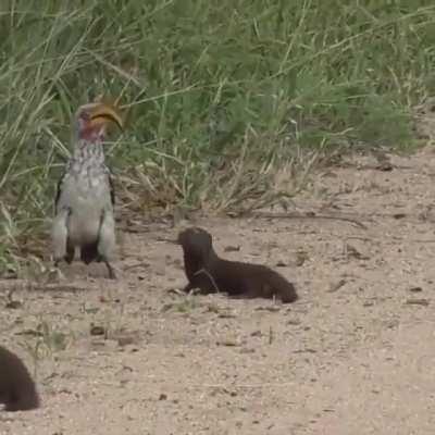 🔥 The Oscar goes to...