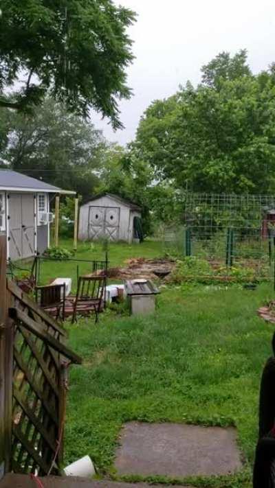 Current view while working from home, Ohio.