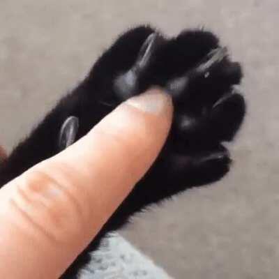 Press the beans. Get the means.