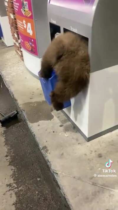 Must... resist... the urge to pet.