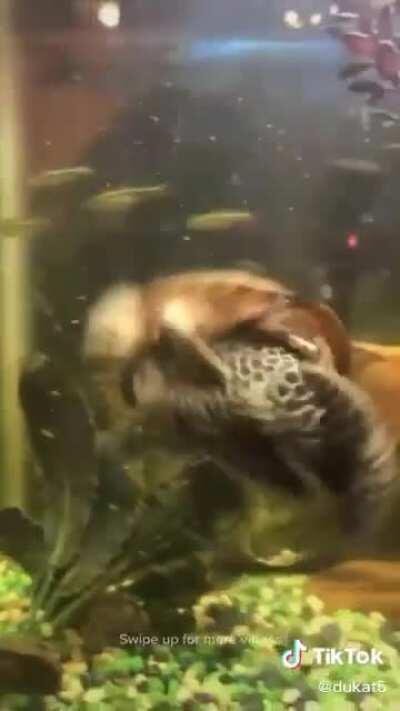 This whole setup 😩