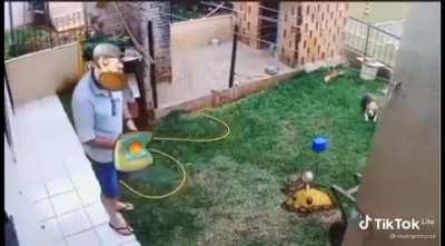 Someone Sent Me This