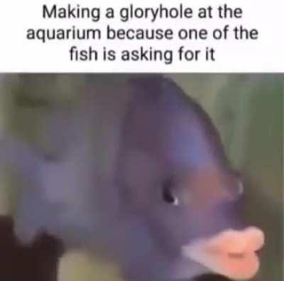 I need that glug glug 