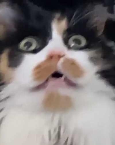 saw something interesting