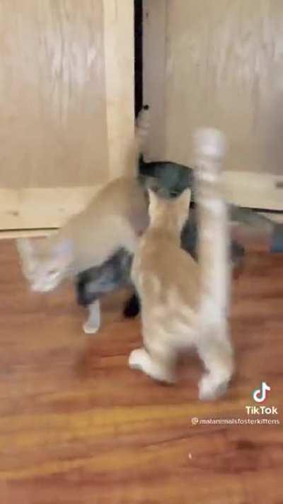 Фильм ужасов просто.